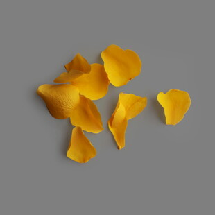 散落的金黄花瓣