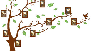 树上鸟屋装饰图