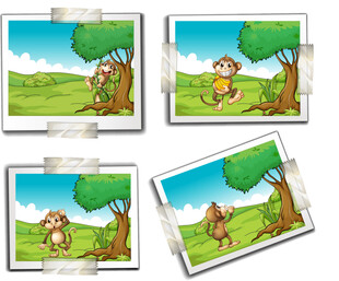 猴子在草地树林间玩耍