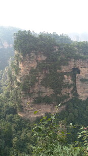 壮丽山峰与繁茂植被景观