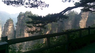 张家界奇峰景观