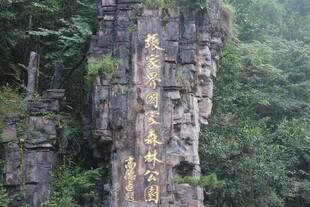 张家界奇峰 自然鬼斧神工