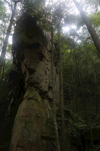 山林中奇特的岩石景观
