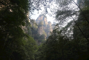 山林间的巍峨奇峰