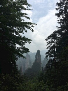 张家界奇峰云雾山林景