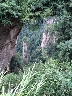 山间绿意盎然的陡峭崖壁