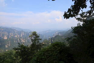 张家界奇峰秀林美景