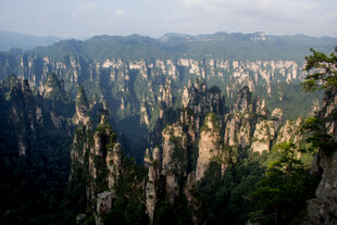 张家界奇峰美景