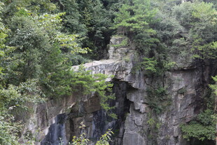 山间石桥隐于葱郁林木间