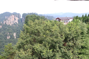 山间绿树环绕的别致小屋