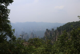 张家界奇峰丛林美景