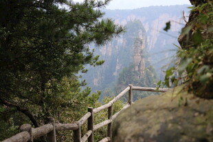 山间木栈道 赏秀丽风光