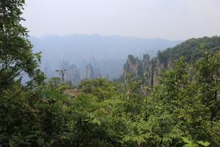 张家界奇峰秀林美景