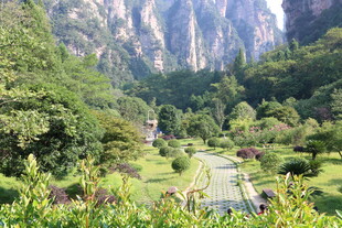 山间幽径 繁花绿树伴奇峰