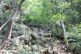 山林间的木质步道