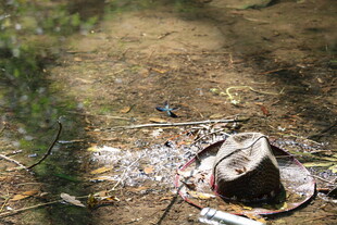 地上的垃圾与破旧帽子