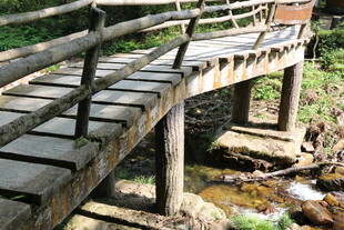 古朴木桥横跨潺潺溪流