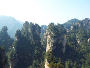 张家界奇峰美景