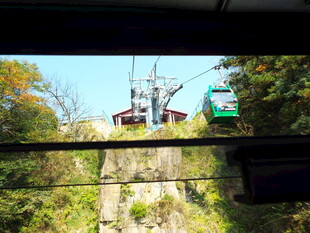 山间缆车穿梭于林木间