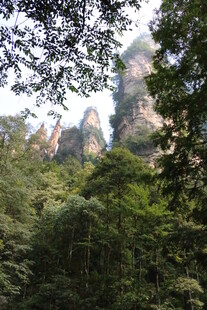 张家界奇峰隐于葱郁山林