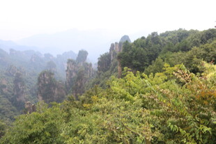 张家界奇峰异林景观