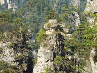 奇峰林立的壮美山林景观