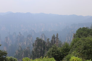 山林远景 绿意盎然