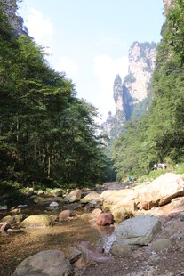 山间溪流 绿意盎然的美景