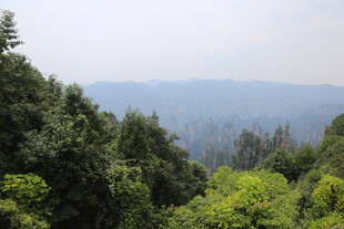 山林葱郁的自然景致