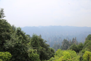 山林葱郁的秀丽自然景观