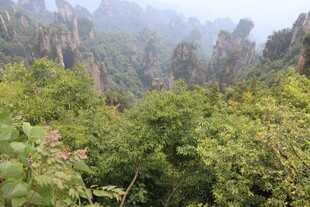 奇峰林立的绿意山林