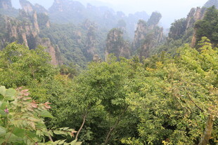 张家界奇峰异景