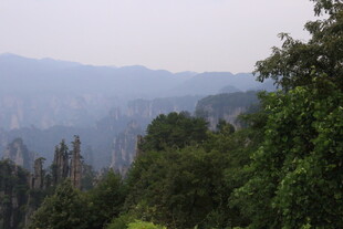 山林景色 绿意盎然的自然