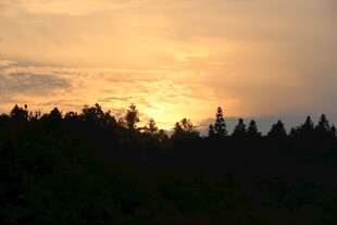 日落时分的森林美景