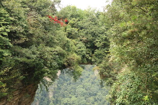 峡谷间的红色缆车穿行