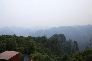 山峦叠翠间的绿色景致