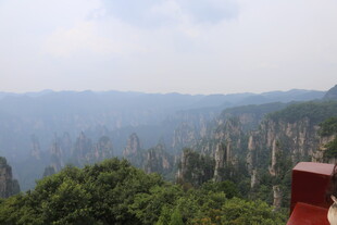 张家界奇峰景观