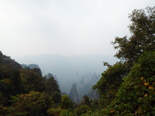 山间云雾缭绕的葱郁景致