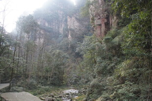 山间幽径 峡谷丛林景致