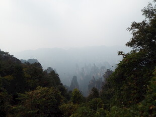 云雾缭绕的山林景观