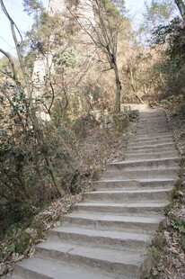 山间石阶小路 静谧自然