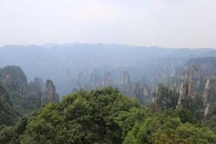 张家界奇峰绿意景观