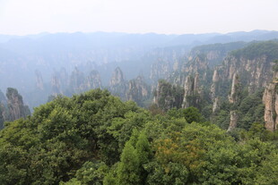 张家界奇峰林立美景