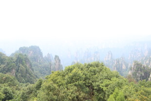 张家界奇峰异林美景