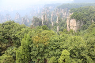 张家界奇峰林立绿意浓