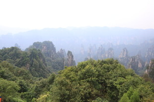 张家界奇峰绿树美景