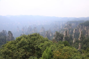 张家界奇峰林立绿意浓