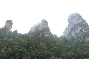 奇峰耸立的山林景观