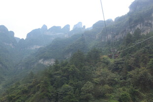 秀丽山峦间的葱郁山林