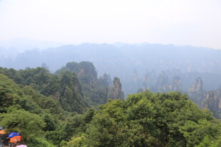 张家界奇峰异林景观